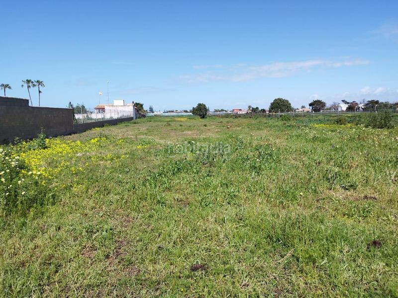 Foto 6b3f0ebf-fe43-4264-8971-60caab72bdd5. Finca rústica magnífica parcela en montijo en La Jara Sanlúcar de Barrameda