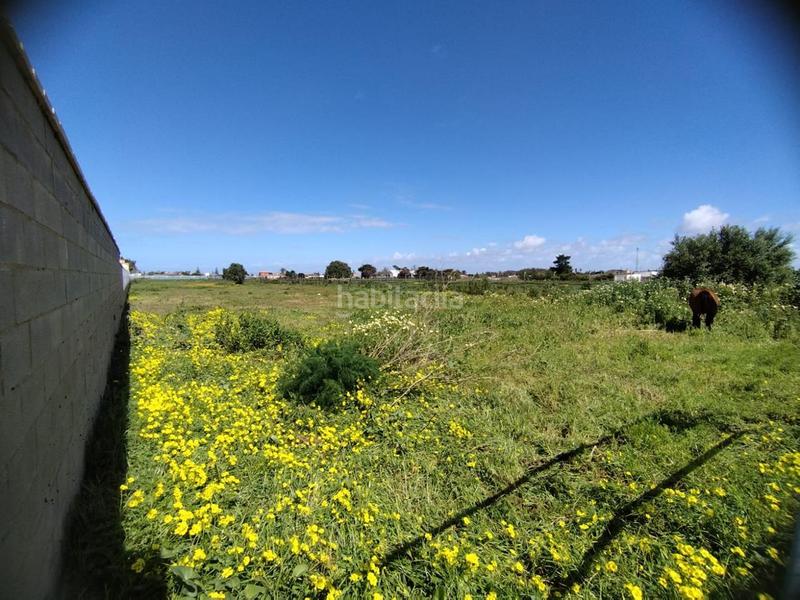 Foto a561a381-7e11-43ed-8d23-d804cf1e5f14. Finca rústica magnífica parcela en montijo en La Jara Sanlúcar de Barrameda