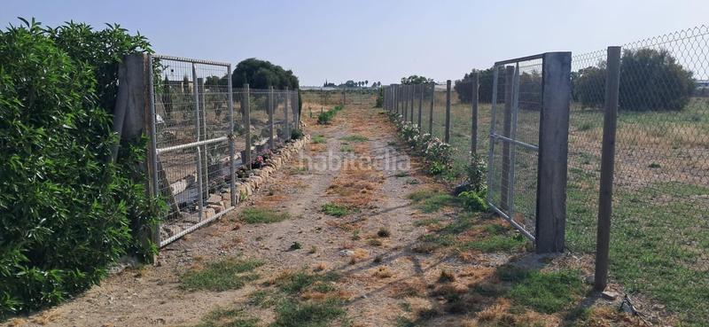 Foto 3442b1ed-3cd0-49dc-8a4f-3b0b67e6f6e9. Finca rústica a Chipiona norte Chipiona