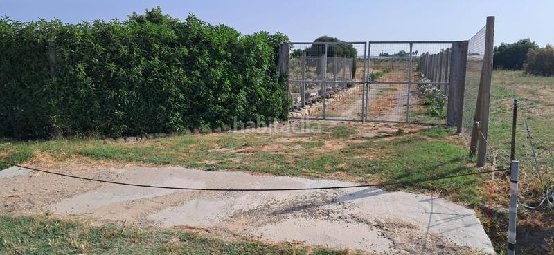 Foto 4098c86d-f2f2-432d-b30d-ed2905b3c8a8. Finca rústica a Chipiona norte Chipiona