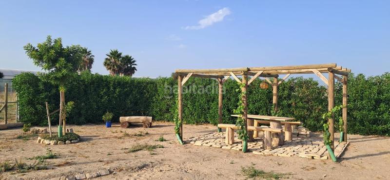 Foto 4870048d-39dd-4cac-8789-ccfa77e0dfa0. Finca rústica a Chipiona norte Chipiona