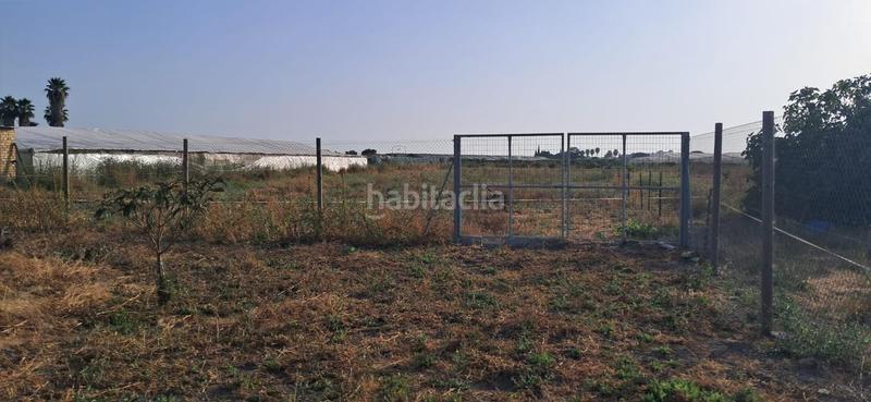 Foto 4a51805a-de86-49c3-a091-5e43c0bafa23. Finca rústica a Chipiona norte Chipiona