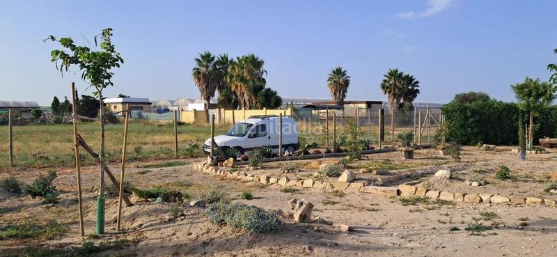 Foto 5629481d-97e7-4551-b397-ae11f209eb9c. Finca rústica a Chipiona norte Chipiona