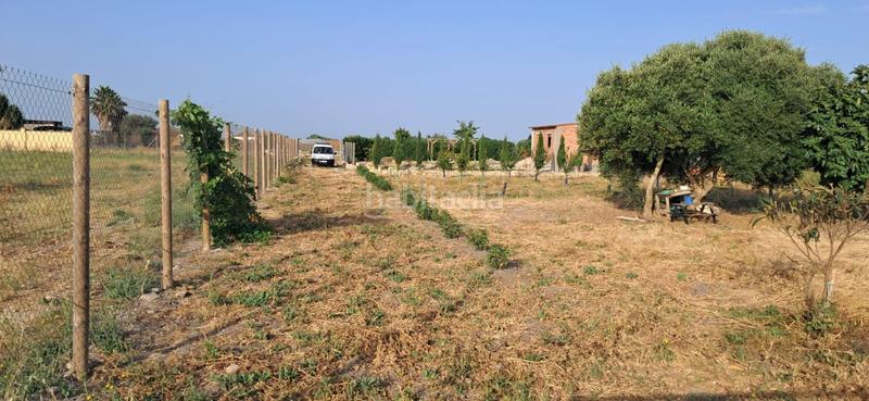 Foto 8e1fd6a0-f2d2-4b17-a1a7-01b678a08b34. Finca rústica a Chipiona norte Chipiona