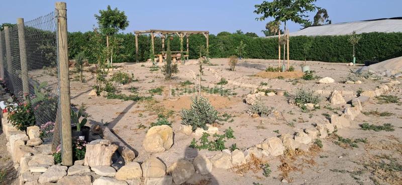 Foto a08d3b22-856e-4c02-8c69-1c6001584c0f. Finca rústica a Chipiona norte Chipiona