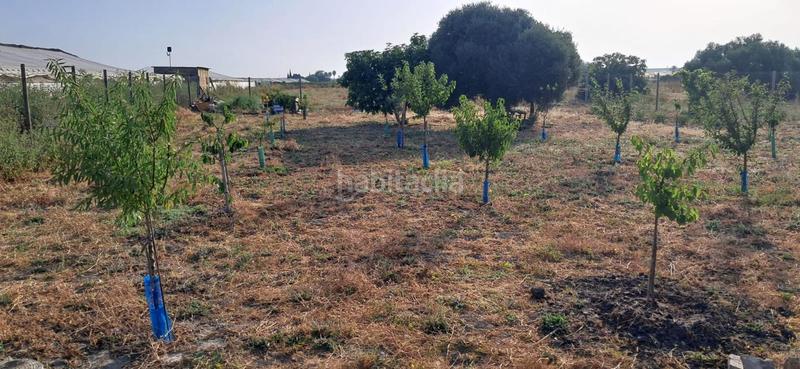 Foto ff3737a1-c8e7-4bc6-9995-d5023a989df4. Finca rústica a Chipiona norte Chipiona