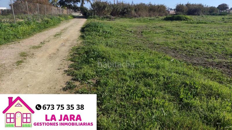 Foto 45a7cba3-92e0-44a1-a499-1f54326089ba. Fondo rustico in Chipiona norte Chipiona