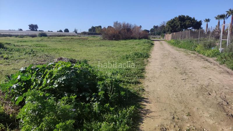 Foto 56a9cb4e-1805-45f9-9e64-71297f7cc657. Fondo rustico in Chipiona norte Chipiona