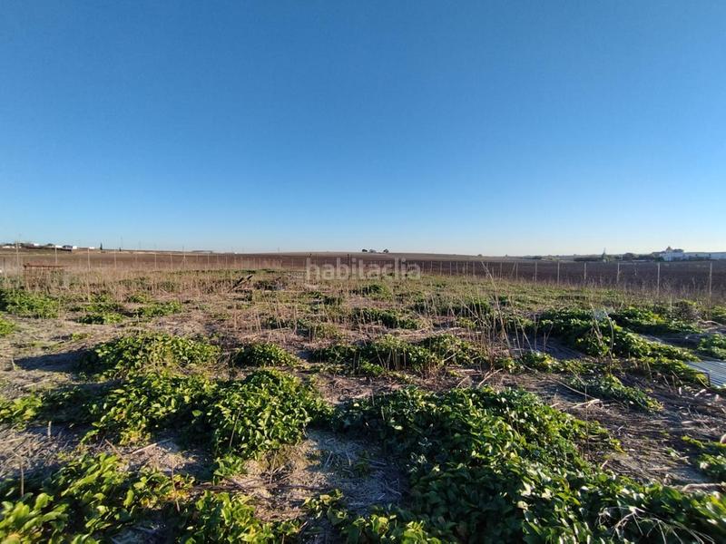 Foto 11736e71-7c1c-4fad-828c-b4fb4994111a. Landgut in Ctra Jerez-Ctra del Puerto Sanlúcar de Barrameda