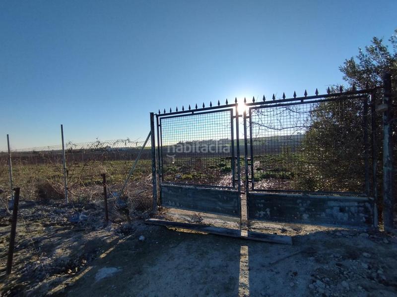 Foto 15d552bf-5d6a-4a87-bb35-2fa7d5581dcb. Landgut in Ctra Jerez-Ctra del Puerto Sanlúcar de Barrameda