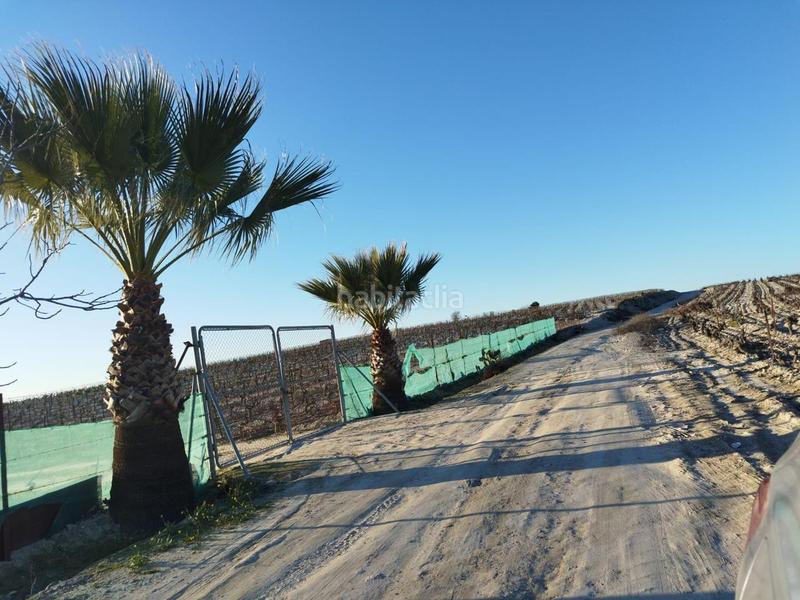 Foto b2cf3d21-c750-445b-8fb8-bd8d7a04285c. Landgut in Ctra Jerez-Ctra del Puerto Sanlúcar de Barrameda