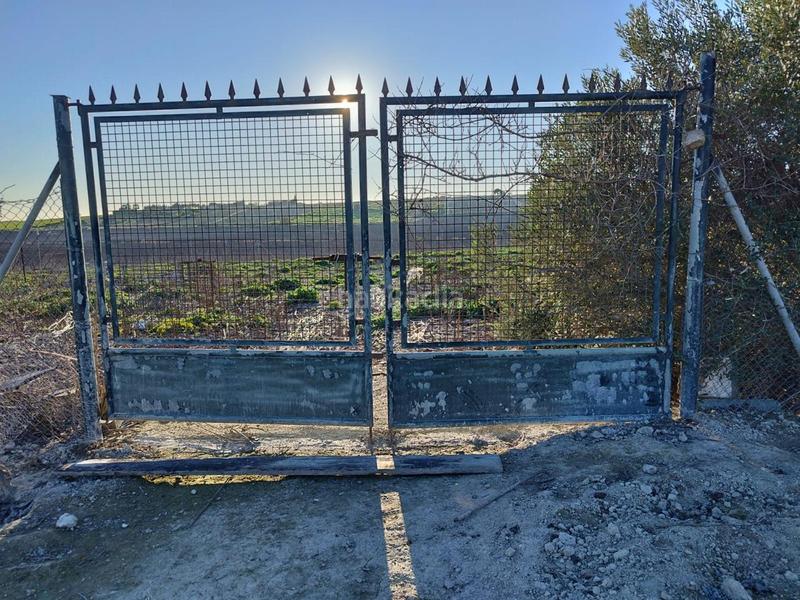 Foto ccc8888d-3c3b-46b8-9104-dd324f9c6d71. Landgut in Ctra Jerez-Ctra del Puerto Sanlúcar de Barrameda