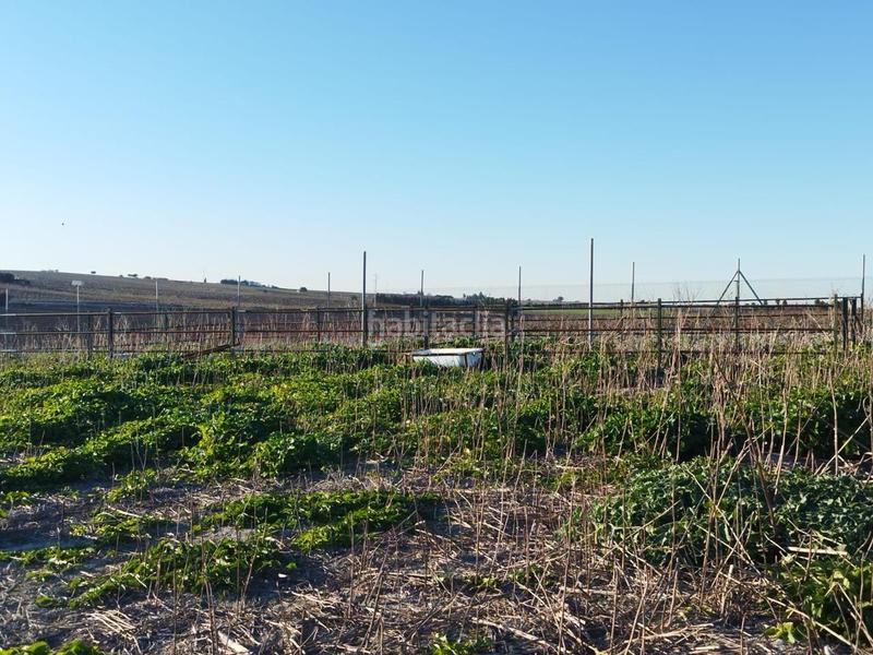Foto e69cec2e-8c68-4c74-92f4-03c08e79dd9d. Landgut in Ctra Jerez-Ctra del Puerto Sanlúcar de Barrameda