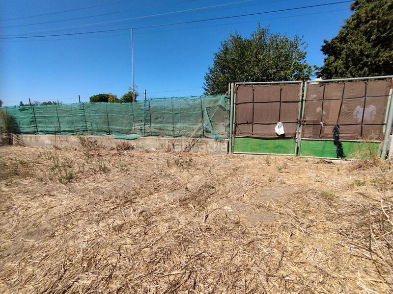 Foto 34ba2ba3-2814-4db7-bfa6-254e4c807639. Terreno residencial estupenda parcela en La Jara. en Sanlúcar de Barrameda