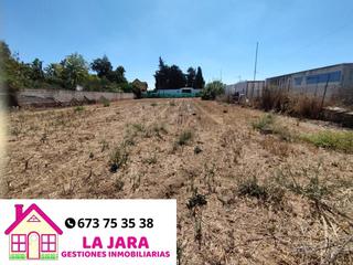 Terreny residencial  De la jara. Estupenda  parcela  en la jara.