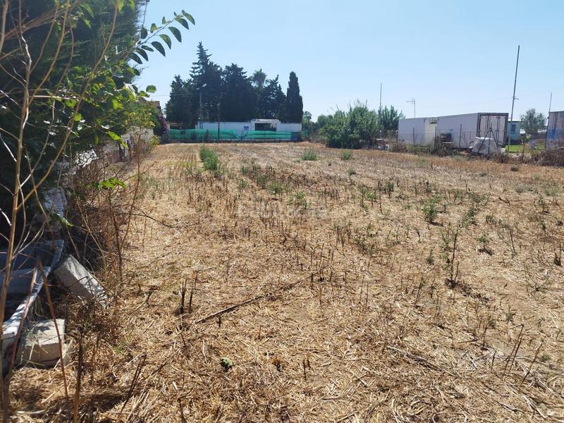 Foto 5c9cdbaa-6f6f-43a6-914a-07fb9a3cdeab. Terreno residencial estupenda parcela en La Jara. en Sanlúcar de Barrameda
