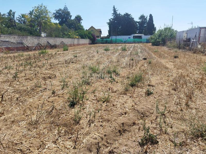 Foto 817e5956-d911-48f2-923c-536d21ac1008. Terreno residencial estupenda parcela en La Jara. en Sanlúcar de Barrameda
