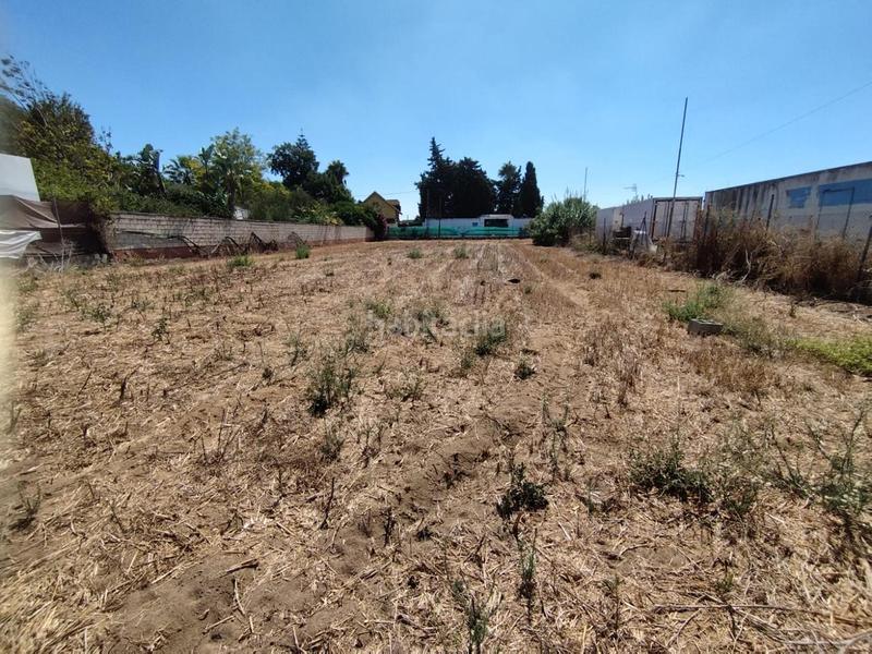Foto 854a4564-e8b5-4397-a1aa-0636461b6a20. Terreno residencial estupenda parcela en La Jara. en Sanlúcar de Barrameda