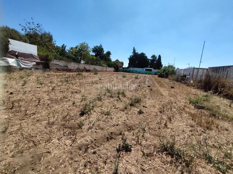 Foto 8de0ca95-05f6-466b-97f6-ba0c096f81a9. Terreno residencial estupenda parcela en La Jara. en Sanlúcar de Barrameda