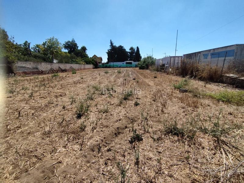 Foto c3248811-43f6-490f-aae3-4efecec922d2. Terreno residencial estupenda parcela en La Jara. en Sanlúcar de Barrameda