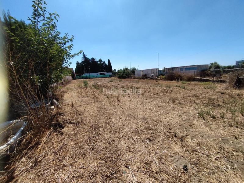 Foto f16f3f10-68e2-41bb-ba40-a7d8caffbca3. Terreno residencial estupenda parcela en La Jara. en Sanlúcar de Barrameda