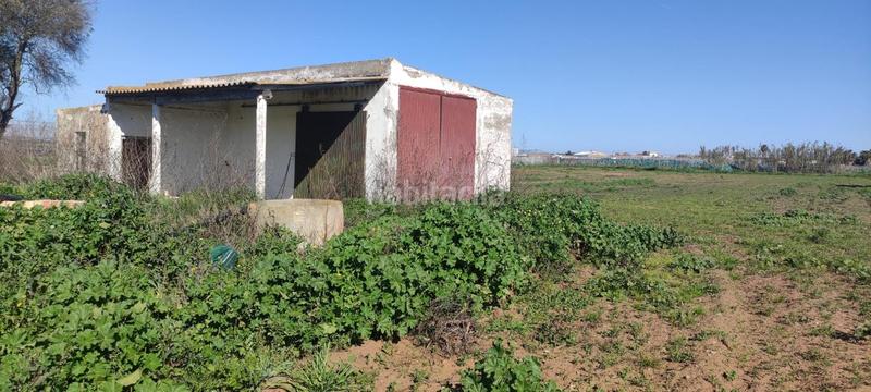 Foto 1d0c0c3a-f1af-47db-99ce-7bf5ef533537. Finca rústica a La Laguna Chipiona