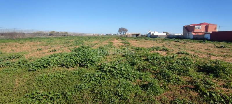 Foto 7fe47af7-6fb1-46f5-acd8-44559aa37de8. Finca rústica a La Laguna Chipiona