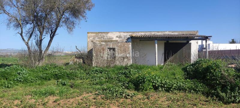 Foto a7529f82-aa06-47a0-921f-e0d46e5ac417. Finca rústica a La Laguna Chipiona