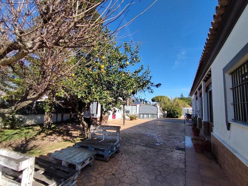 Foto 488e3d09-935f-4c55-890c-73fcb5b41d58. Casa impresionante chalet urbano en La Jara. en La Jara Sanlúcar de Barrameda