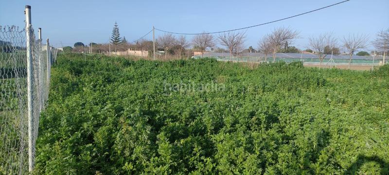 Foto 16e9b8ac-4902-4a40-ba91-25fefbdad89c. Propriété dans Chipiona norte Chipiona