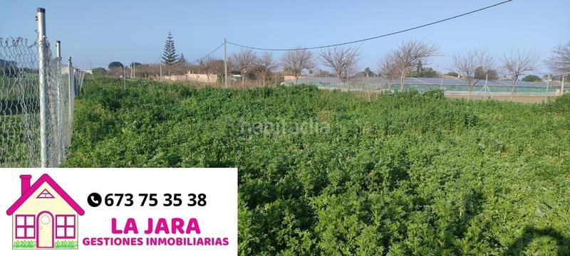 Foto 27b98b3c-a36f-4f75-8f5c-2996ed885a24. Terreno residenziale in Chipiona norte Chipiona