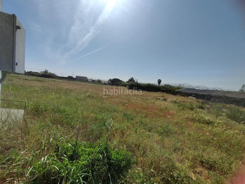 Foto 3f959fba-121c-4bbf-8599-dbc2aee6ec25. Terreny residencial a La Jara Sanlúcar de Barrameda