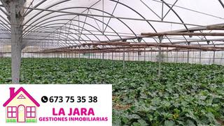 Finca rústica  El espejo. punta del águila. Parcela con invernaderos incasa en punta del águila
