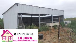 Finca rústica  Las manchuelas. Finca de regadío  ideal para caballos.