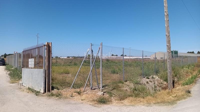 Foto 35af26ca-ad29-4b37-824f-62c4ad1faaad. Fondo rustico in Chipiona norte Chipiona