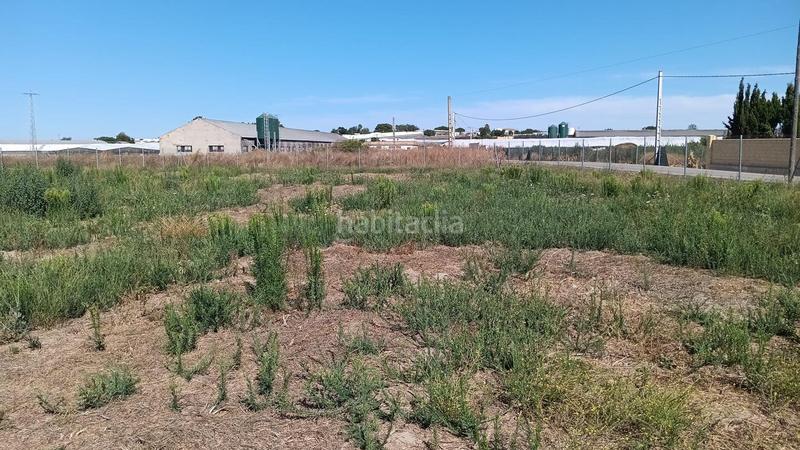 Foto a6c99434-1d5d-49ec-8605-ae50d896216b. Fondo rustico in Chipiona norte Chipiona