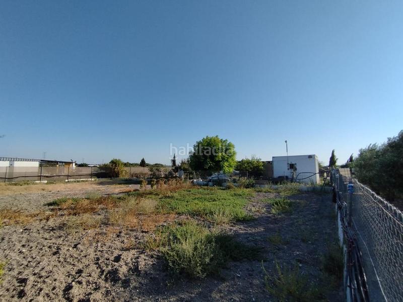 Foto 1ab4c868-a926-44fc-af11-b569ae64f4b7. Finca rústica finca de secano en la cañada. en Ctra Jerez-Ctra del Puerto Sanlúcar de Barrameda