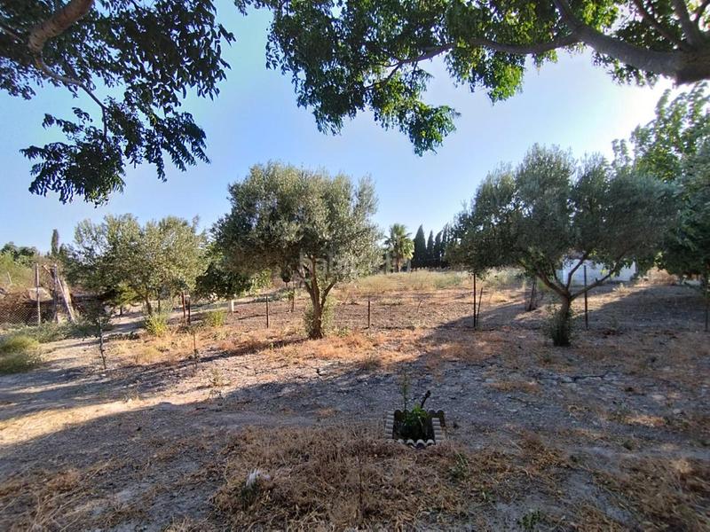 Foto 1ba7bf82-5264-4db6-9702-b227efd54ffa. Finca rústica finca de secano en la cañada. en Ctra Jerez-Ctra del Puerto Sanlúcar de Barrameda