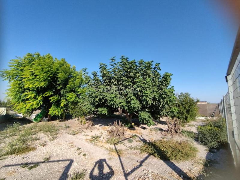 Foto 24adc3e8-22e5-4de1-b4d0-8761ca788a62. Finca rústica finca de secano en la cañada. en Ctra Jerez-Ctra del Puerto Sanlúcar de Barrameda