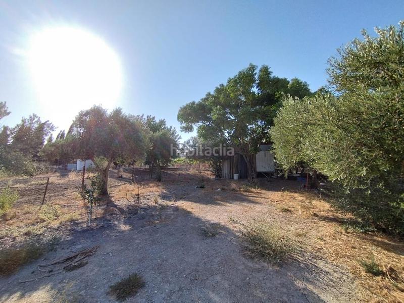 Foto 2e70da2a-fdf4-4b28-9008-27042e78523e. Finca rústica finca de secano en la cañada. en Ctra Jerez-Ctra del Puerto Sanlúcar de Barrameda