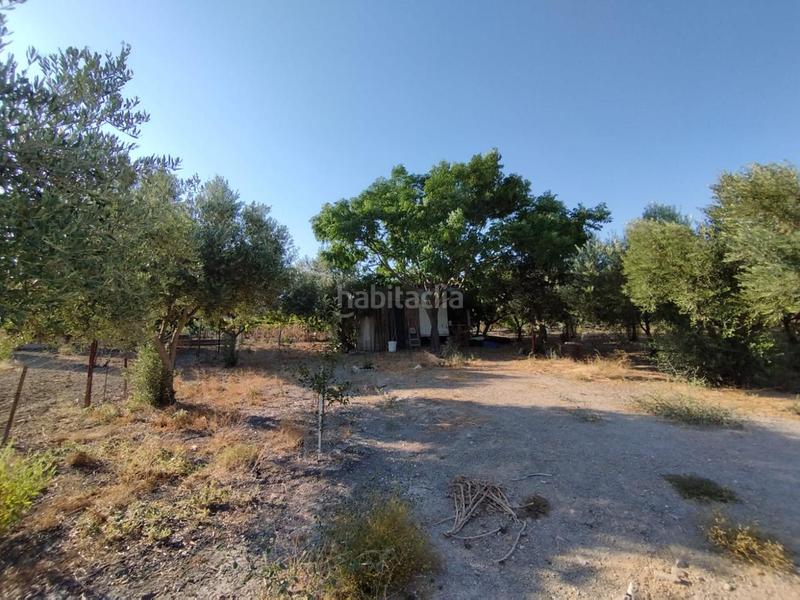 Foto 4c4234bf-67d2-464f-acb8-03374069b35e. Finca rústica finca de secano en la cañada. en Ctra Jerez-Ctra del Puerto Sanlúcar de Barrameda