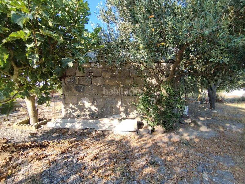 Foto 860da73f-7a60-41f3-bba6-75980273fdcd. Finca rústica finca de secano en la cañada. en Ctra Jerez-Ctra del Puerto Sanlúcar de Barrameda