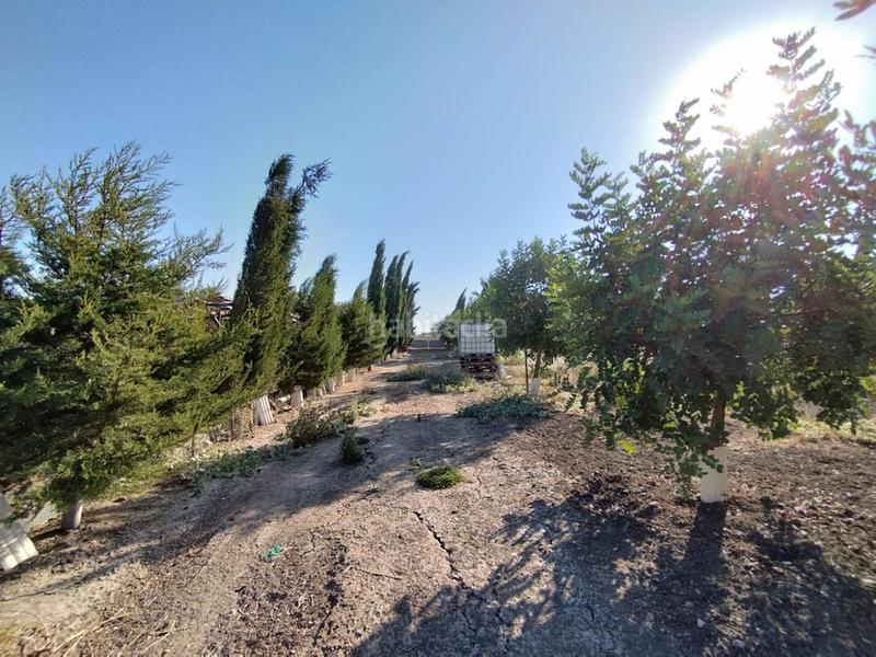 Foto 9168400d-e7b5-402b-9392-1195d7ac43f6. Finca rústica finca de secano en la cañada. en Ctra Jerez-Ctra del Puerto Sanlúcar de Barrameda