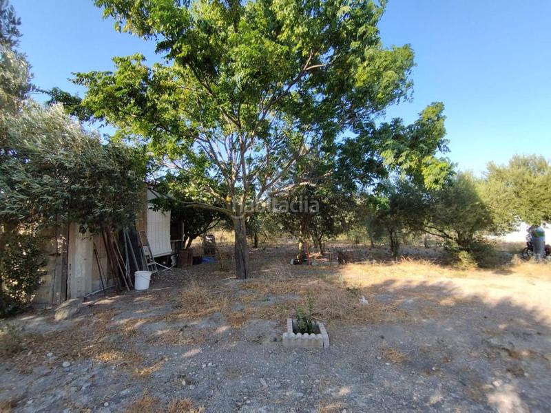 Foto 95e3a41c-e425-41a2-9f44-95da391a7e36. Finca rústica finca de secano en la cañada. en Ctra Jerez-Ctra del Puerto Sanlúcar de Barrameda