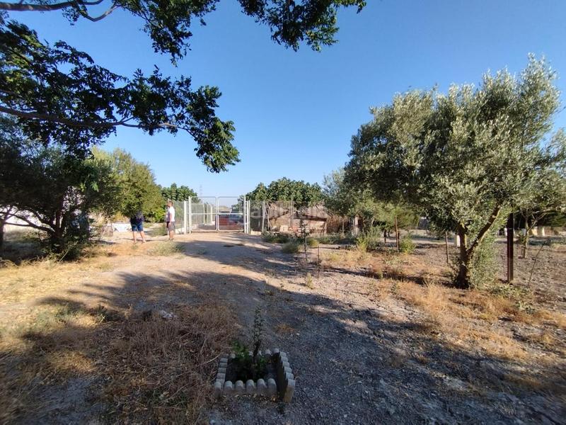 Foto e20e2038-a292-474b-be29-58dbc8791f20. Finca rústica finca de secano en la cañada. en Ctra Jerez-Ctra del Puerto Sanlúcar de Barrameda