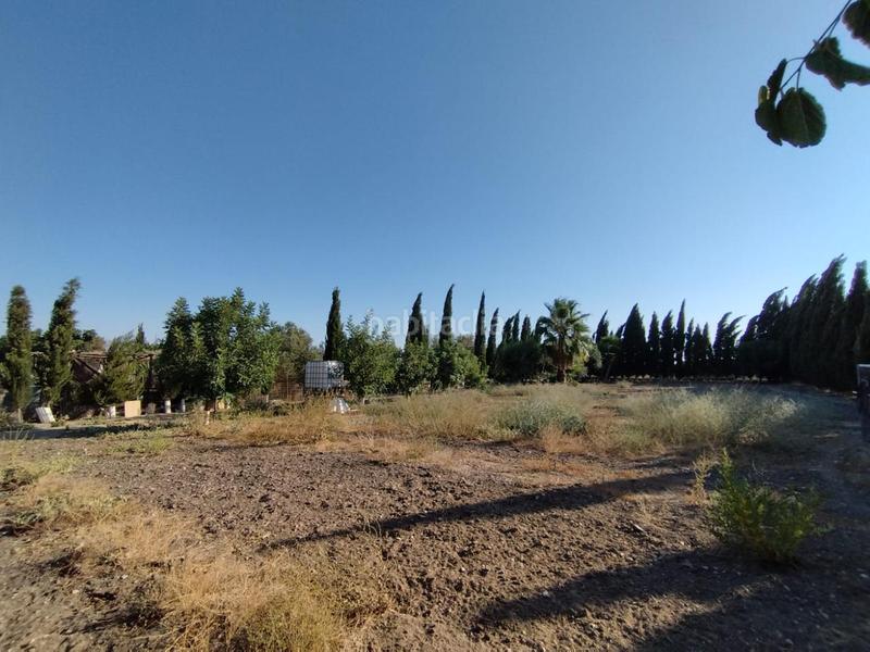 Foto e2511d89-6501-4626-a993-806699cc3344. Finca rústica finca de secano en la cañada. en Ctra Jerez-Ctra del Puerto Sanlúcar de Barrameda