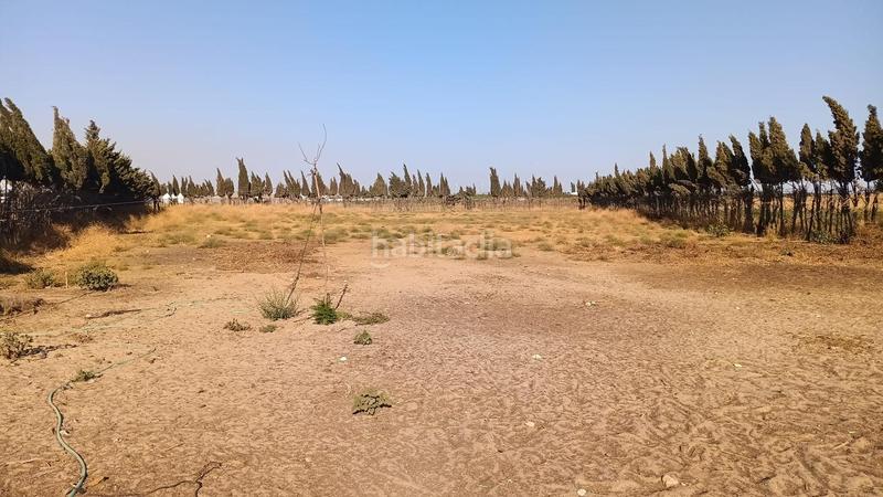 Foto 229887c5-e89a-4700-9f1f-296c5872bff4. Finca rústica finca ideal para caballos en Las Palmeras-Dehesilla Sanlúcar de Barrameda