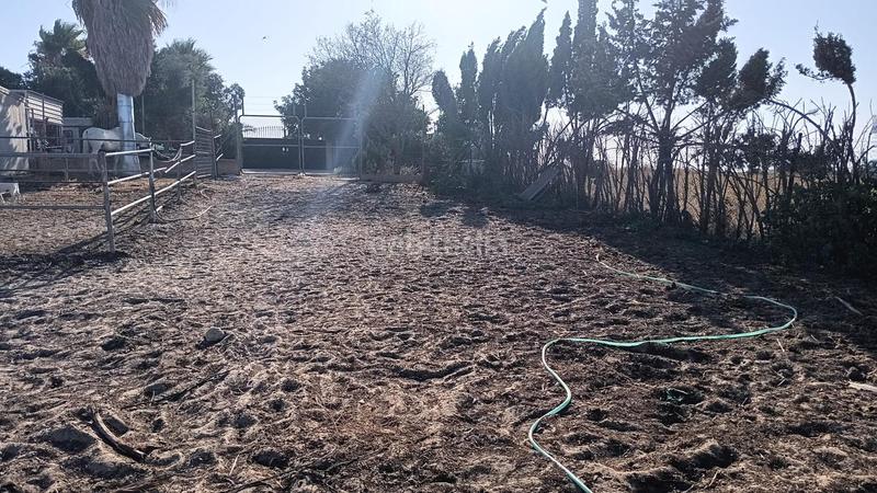 Foto 3e28d25f-05a5-491a-b050-a39a59c4957b. Finca rústica finca ideal para caballos en Las Palmeras-Dehesilla Sanlúcar de Barrameda