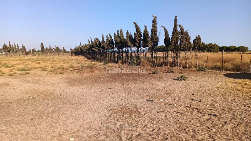 Foto 5edc6452-107a-4cc5-96fd-c0b8368ffb78. Finca rústica finca ideal para caballos en Las Palmeras-Dehesilla Sanlúcar de Barrameda