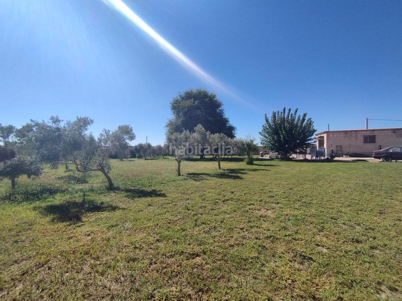 Foto b11f5cfe-d7b9-4c84-b31f-2cb2bf3f7267. Finca rústica a Chipiona norte Chipiona